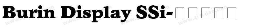 Burin Display SSi字体转换